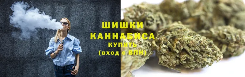 Конопля Bruce Banner  Истра 